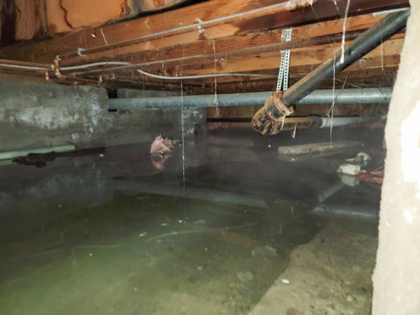Best Water damage restoration near me  in Centralia, MO