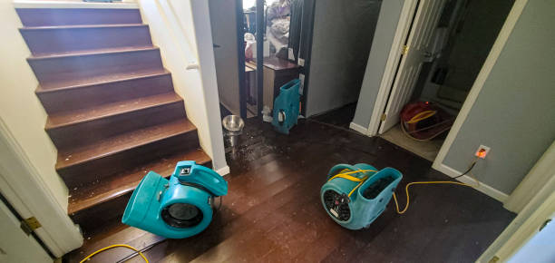 Best Flood damage cleanup  in Centralia, MO