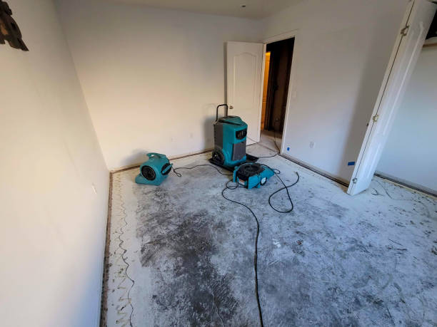 Best Mold removal after water damage  in Centralia, MO