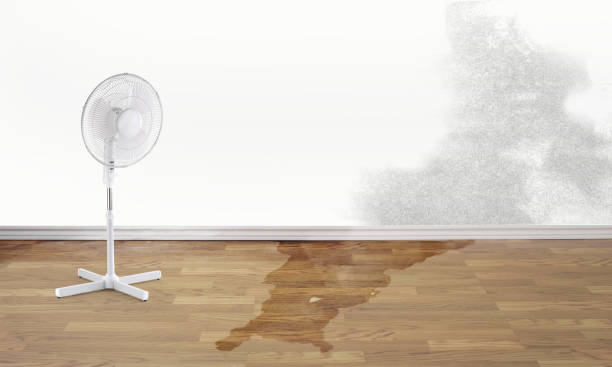 Best Water damage restoration process  in Centralia, MO
