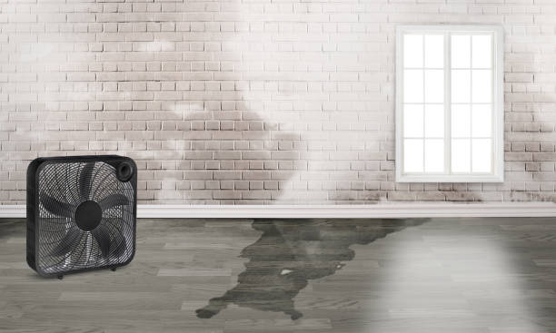 Best Commercial water damage restoration  in Centralia, MO