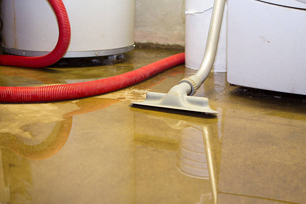 Best Local water damage restoration  in Centralia, MO