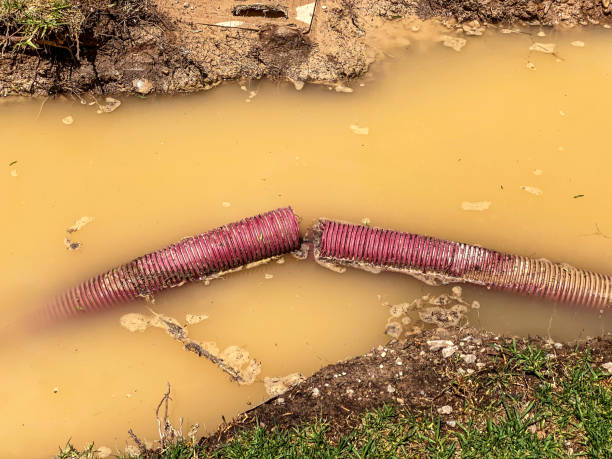 Best Carpet water damage restoration  in Centralia, MO